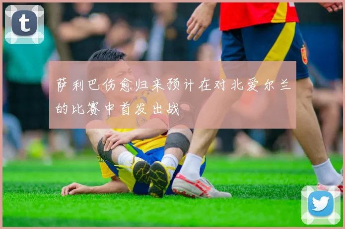 萨利巴伤愈归来预计在对北爱尔兰的比赛中首发出战