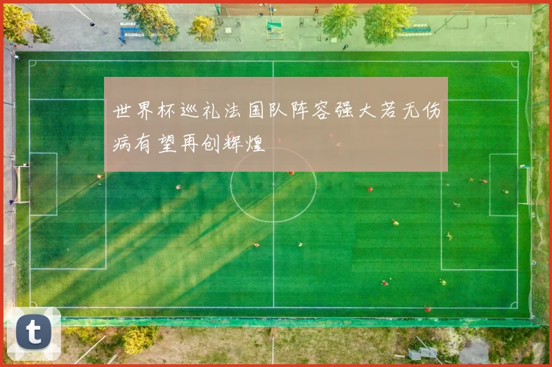 世界杯巡礼法国队阵容强大若无伤病有望再创辉煌