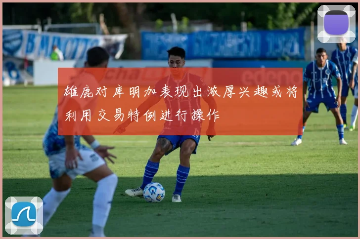 雄鹿对库明加表现出浓厚兴趣或将利用交易特例进行操作